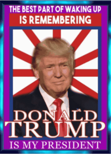 President Trump America GIF - President Trump America Donald Trump - Discover & Share GIFs