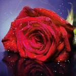 Angelita Sandoval Profile Picture