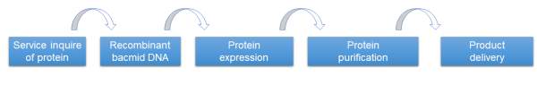 Protein Expression and Purification Service - Creative BioMart Vir-Sci