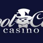 Cool Cat Casino Profile Picture