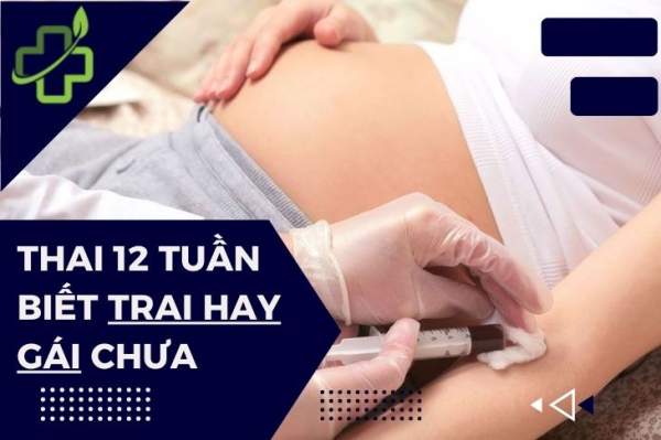 Thai 12 tuần biết trai hay gái chưa? Cách nhận biết chuẩn xác nhất