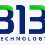 313technology Profile Picture