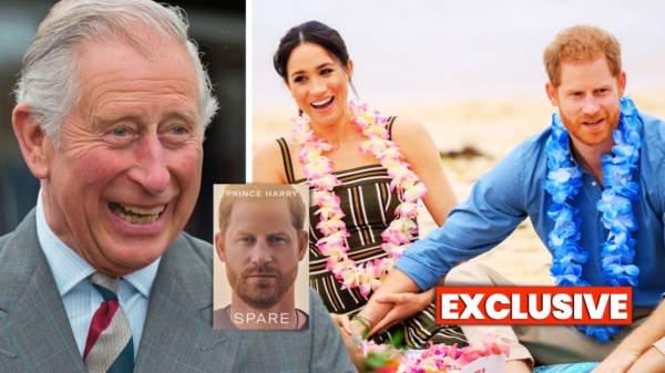 EXCLUSIVE: ‘Lazy sunbathing scroungers!’ Royal insider HITS BACK at Prince Harry amid new book - Politicalite
