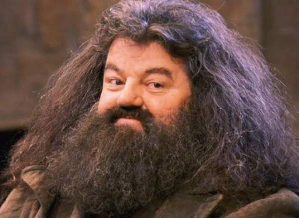 Scottish 'Harry Potter' Actor Robbie Coltrane Dead at 72