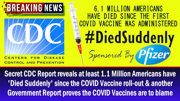 Secret CDC Report reveals at least 1.1 Million Americans have ‘Died Suddenly’ since the COVID Vaccine roll-out & another Government Report proves the COVID Vaccines are to blame – The Expose