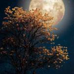 Mark Burns Profile Picture