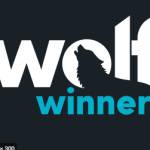 wolfwinnercasino Profile Picture