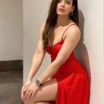 Delhi Escorts Profile Picture