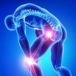 terrybradshaw cbdgummies Profile Picture