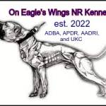 On Eagles Wings NR APBT Kennel Profile Picture