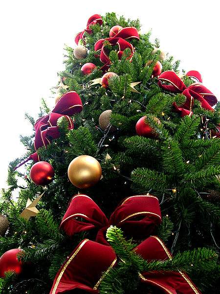 Frankreich: Er sägt einen von der Stadtverwaltung aufgestellten Weihnachtsbaum ab und schreit dabei “Allah Akbar” – Jihad Watch Deutschland