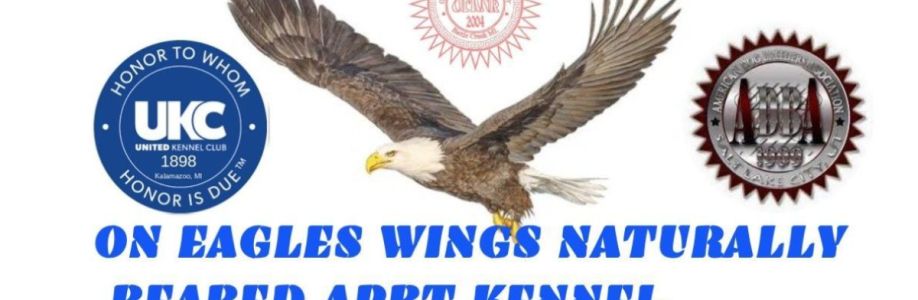 On Eagles Wings NR APBT Kennel Cover Image