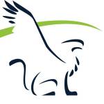 Benz Rec Profile Picture