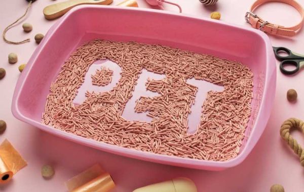What Type of Cat Litter Box Is the Best?