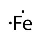 C Fish Profile Picture