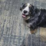 Will Roy Profile Picture