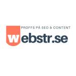 Webstr Team AB Profile Picture