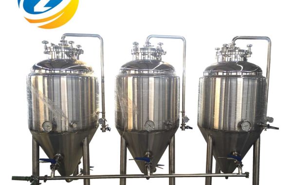What equipment is commonly used in beer fermenter?