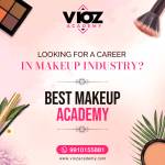 vioz academy Profile Picture