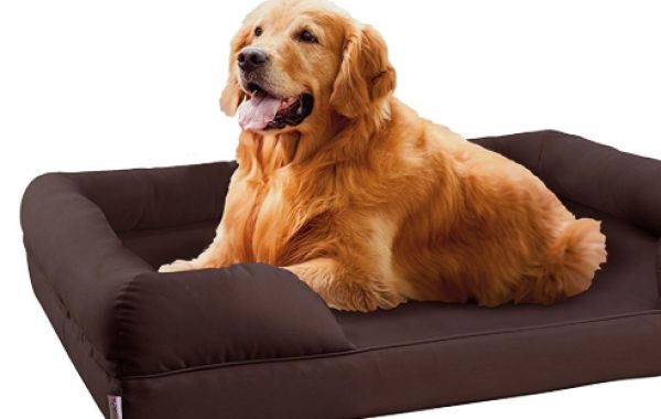 DO DOGS NEED BEDS? 5 ‘PAWSOME’ BENEFITS OF BUYING A DOG BED
