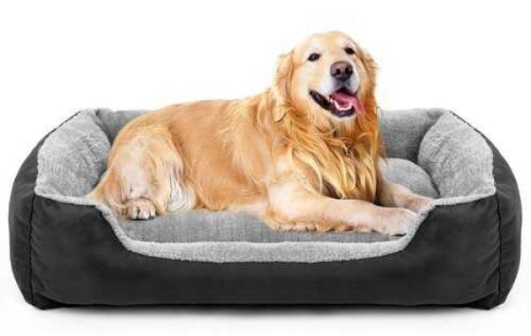 Top 5 Health Benefits of Dog Beds For Your Precious Pup