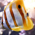 Byronly Adams Profile Picture