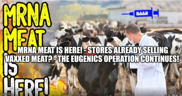 mRNA Meat Is Here! - Stores Already Selling Vaxxed Meat? - The Eugenics Operation Continues!  (Video)  | Alternative | Before It's News