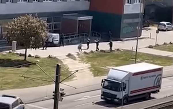 WATCH: Syrian attacks passers-by and police officers with a knife in Rostock, Germany – Allah's Willing Executioners