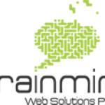brainmine web solution Profile Picture