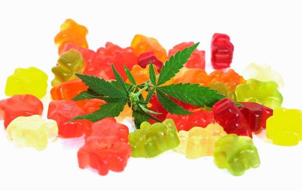 Can you give kids CBD gummies? Important things to know