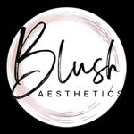 Blush Aesthetics Profile Picture