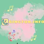 Ringtun Info Profile Picture