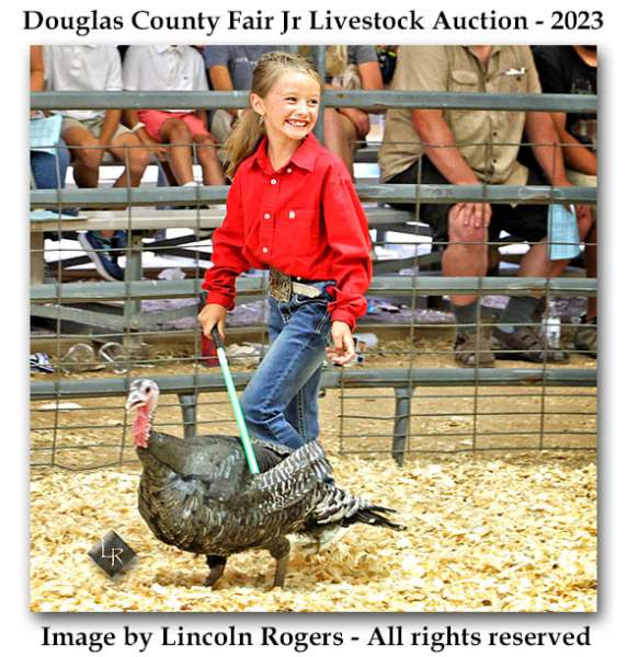Youth, Animals & County Fairs | Lincoln's Thinkin's
