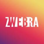 Zwebra Digital Marketing Profile Picture