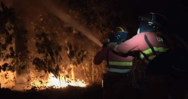 Spanish Official Admits Arson the Cause for Tenerife Wildfires Despite ‘Climate Crisis’ Media Narrative – Allah's Willing Executioners