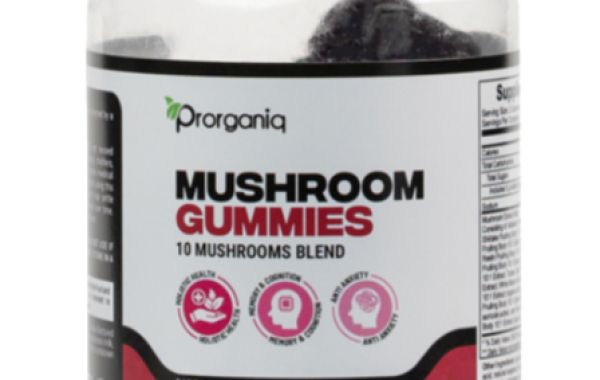 Best Mushroom Supplements - Does This Support To Build A Healthy Brain?