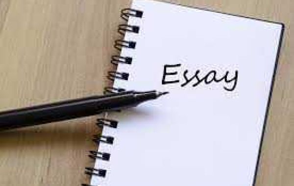 The Ultimate Toolkit for Excelling in College Essay Writing