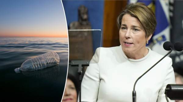 Democrat governor first in nation to ban her state government from buying this common item | Fox News