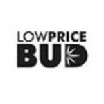 lowpricebud Profile Picture