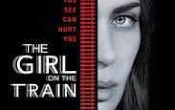 The Girl on the Train Summary