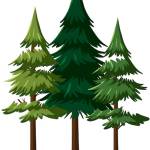 Tree Services Profile Picture
