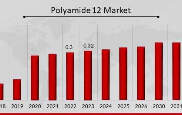 Polyamide 12 Market Growth Focusing on Trends  Innovations During the Period Until 2032