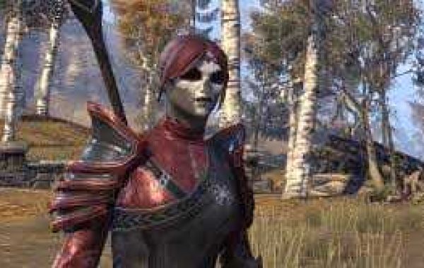 The Elder Scrolls Online allows players to admission