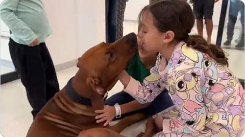 WATCH: Released captive children reunite with family dog