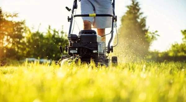 Use Gas-Powered Lawn Mower, Go To Jail, Washington State Democrats Demand ⋆ Conservative Firing Line