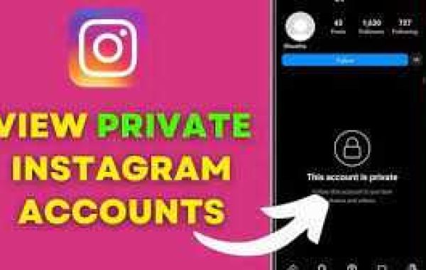 “Top 10 Effective Private Instagram Viewer Apps for 2024”