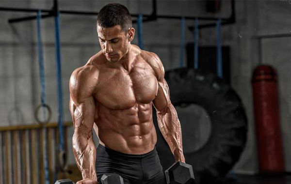 Steroid Source Review Forums 2017