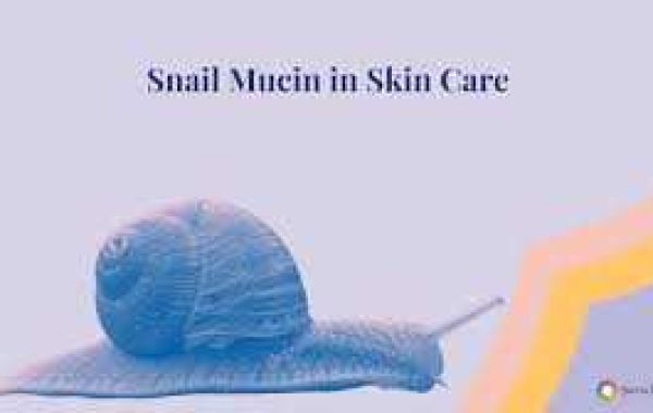 How Does Snail Serum Protect Your Skin Barrier?