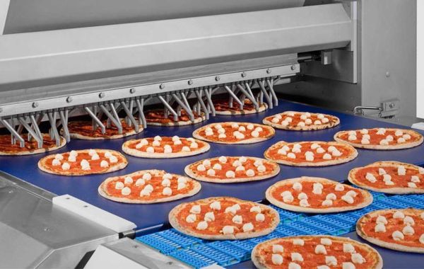 Detailed Project Report: Setting up a Frozen Pizza Manufacturing Plant