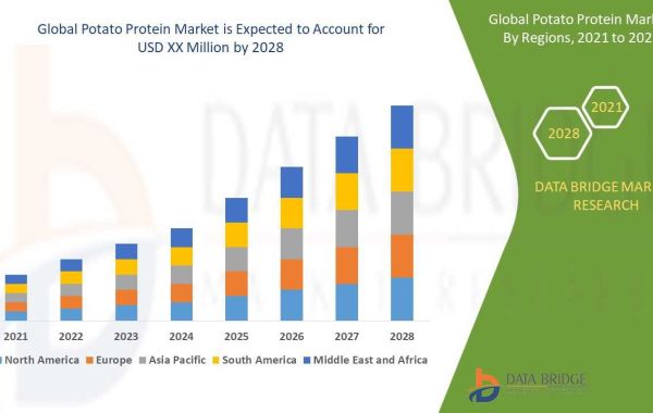 Potato Protein Market Size, Share, Demand, Key Drivers, Development Trends and Competitive Outlook